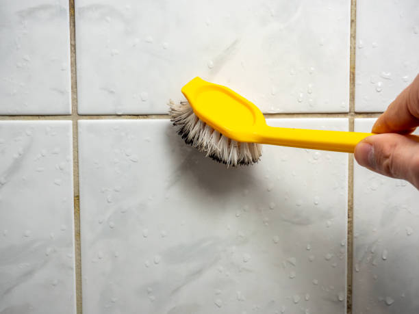 Best Fast Mold Removal  in Rockford, MI