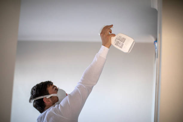 Best Mold Inspection  in Rockford, MI