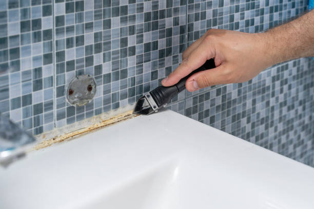 Best Affordable Mold Removal  in Rockford, MI